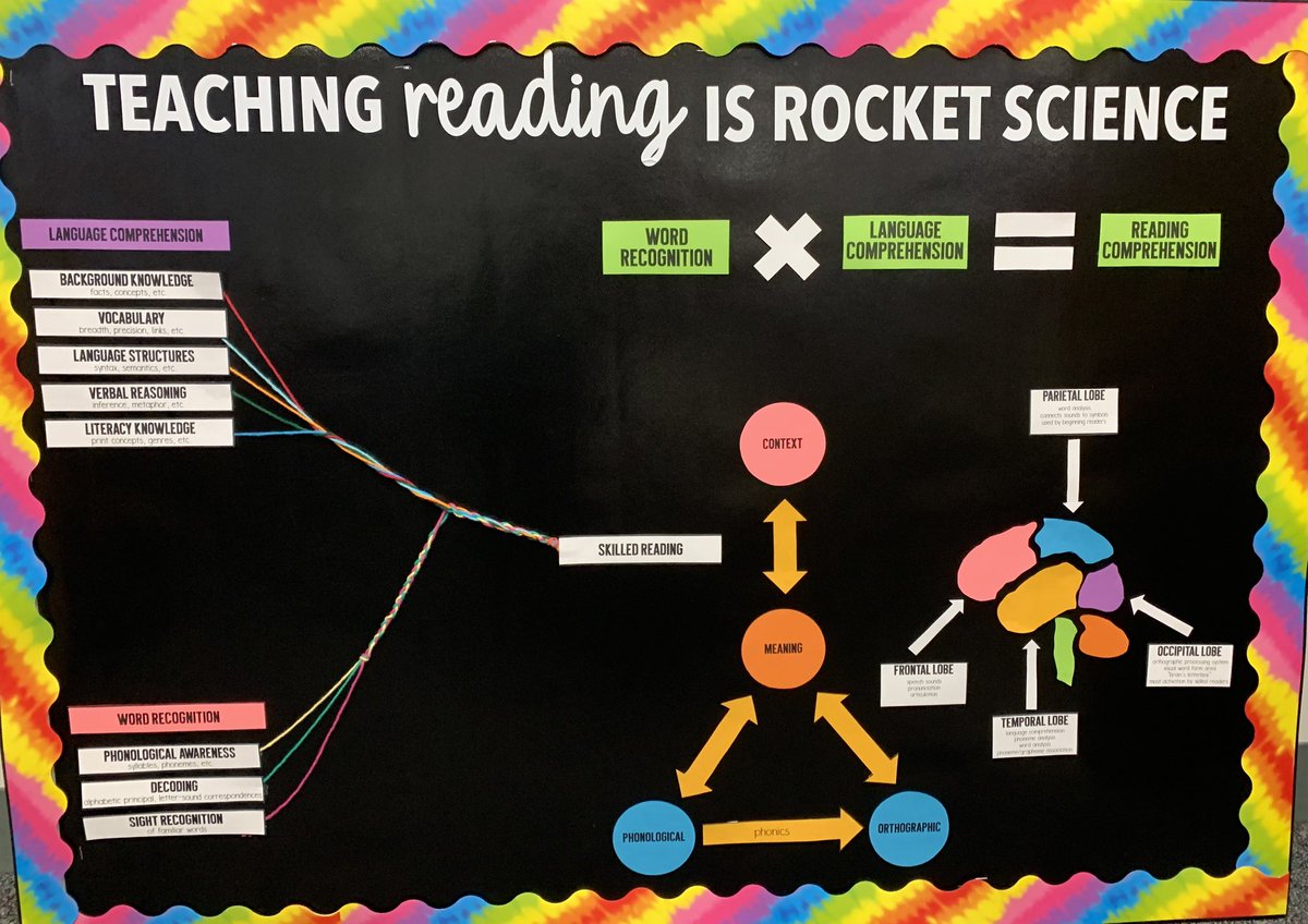 kfumicello's tweet photo. My bulletin board is finally up. Kiddo’s are  loving learning about the brain and how the parts relate to reading! https://t.co/rFqSV4jUJ5
