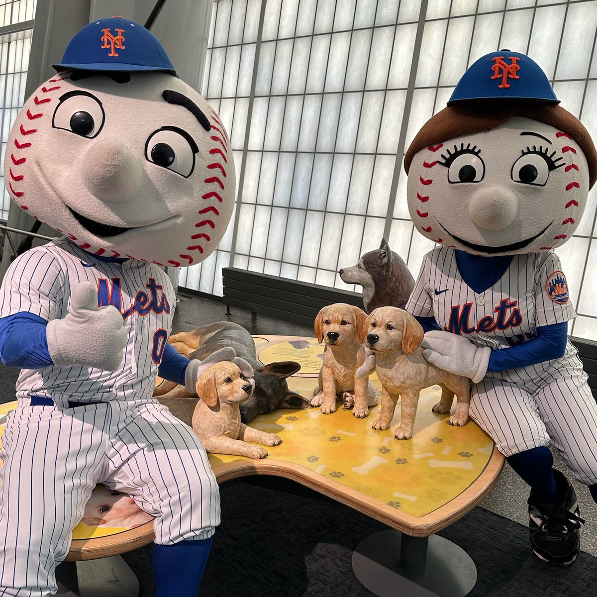 MrMet tweet picture