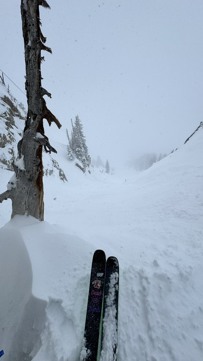 superiorgoggles's tweet photo. Winter returns https://t.co/yQPe95TUBR