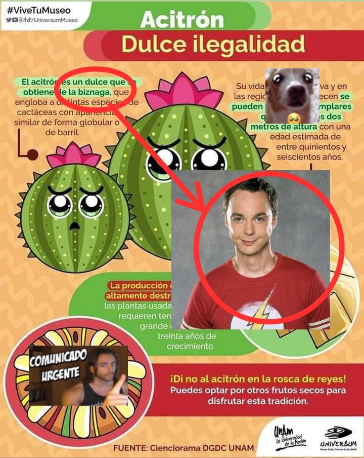 ulalume123's tweet image. Que tal me quedo mi momo 🥺