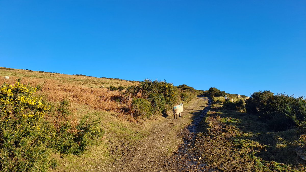 MacreddinRock's tweet photo. Mangan's Loop Tinahely #wicklow #hiking #100daysofwalking https://t.co/hd0MTVq5Tg