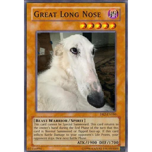 CRYPT0OP's tweet photo. @CoinMarketCap $borzoi long nose doggy https://t.co/BrVxHMIAAU