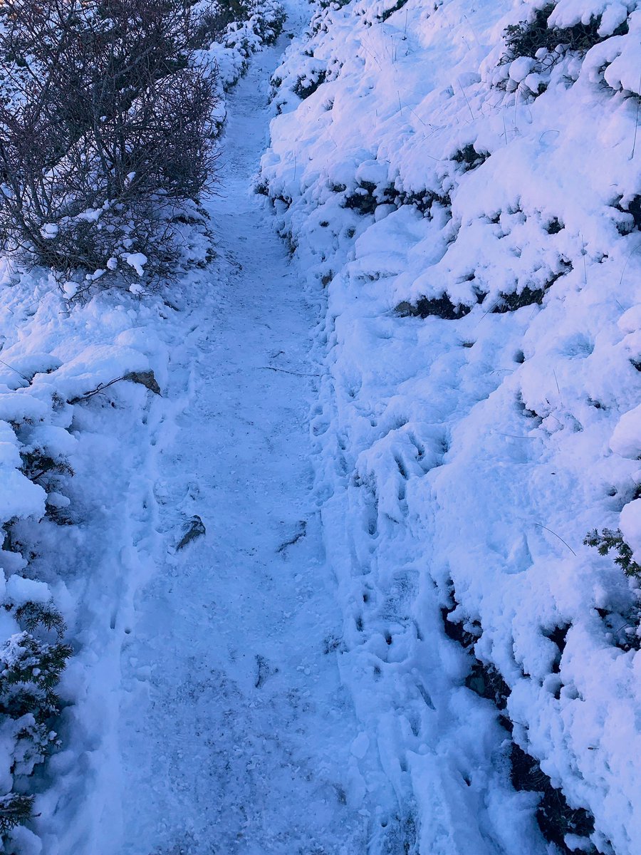 plouen_granotes's tweet photo. Així tenim el #Montseny. Camí de #Collformic (1.142m) fins al #Matagalls (1.697m).
Força #neu a la cara nord i no tanta a la cara sud.
Esperant la #llevantada d’aquesta setmana que ve!
#meteo #eltempstv3 #eltemps #Osona #Catalunya #montanya https://t.co/8Mp1vPmbZ0