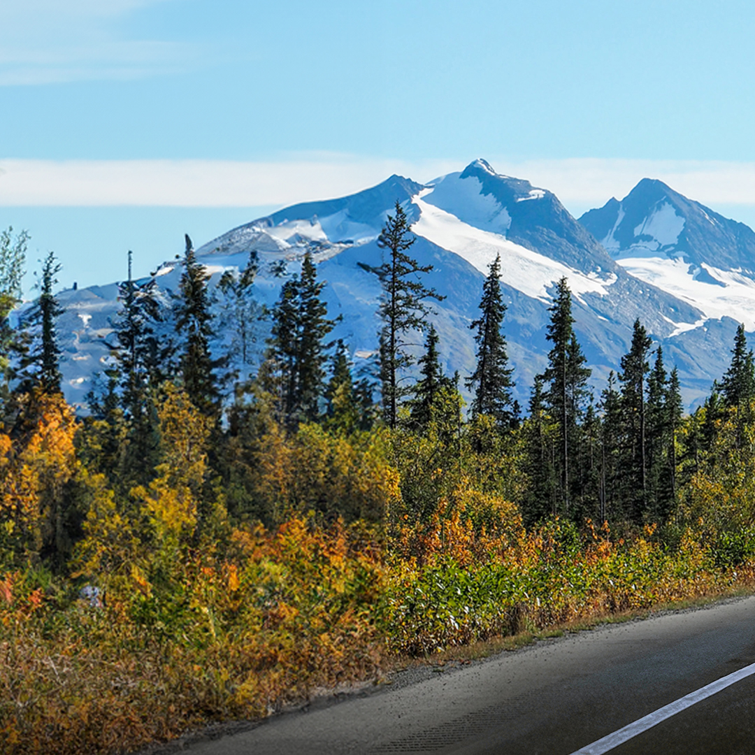 Blackwoodformen's tweet image. When Modern &amp;amp; Natural come together in Harmony, you're doing something right 💯 Join us on the road to #NaturalClass 🌿⁠ 🔲⁠
⁠
——————————————————————————⁠
#bettergrooming #skincareformen #mensgroomingproducts #naturalskincare #mensgrooming #blackwoodformen