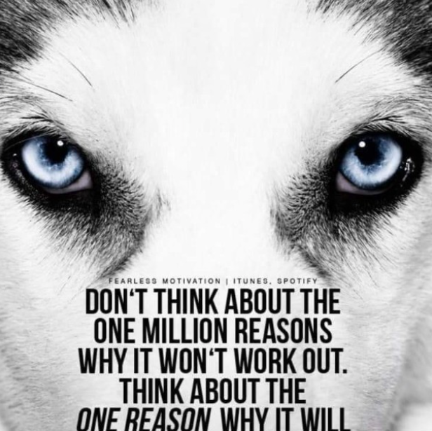 david_sundquist's tweet photo. We are all just energy in a body and what you focus on becomes what you attract, achieve, and create.  Think and feel only about what you want for yourself, your family, and the world. https://t.co/jPdfJDZZNR