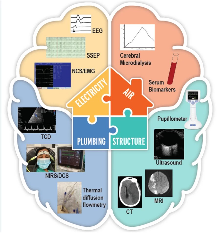 Mastering the brain in critical conditions: an update CCR Journal Watch criticalcarereviews.com/latest-evidenc… Get the latest critical care literature every weekend via the CCR Newsletter - subscribe at criticalcarereviews.com/newsletters/su…