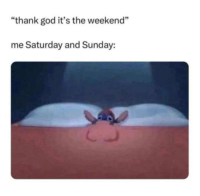 WholesomeMemes (@wholesomememe) on Twitter photo 