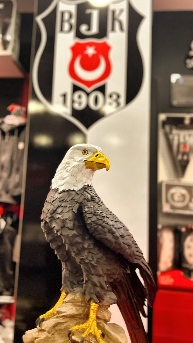 aliengin1903's tweet image. #BlackEagle 🦅