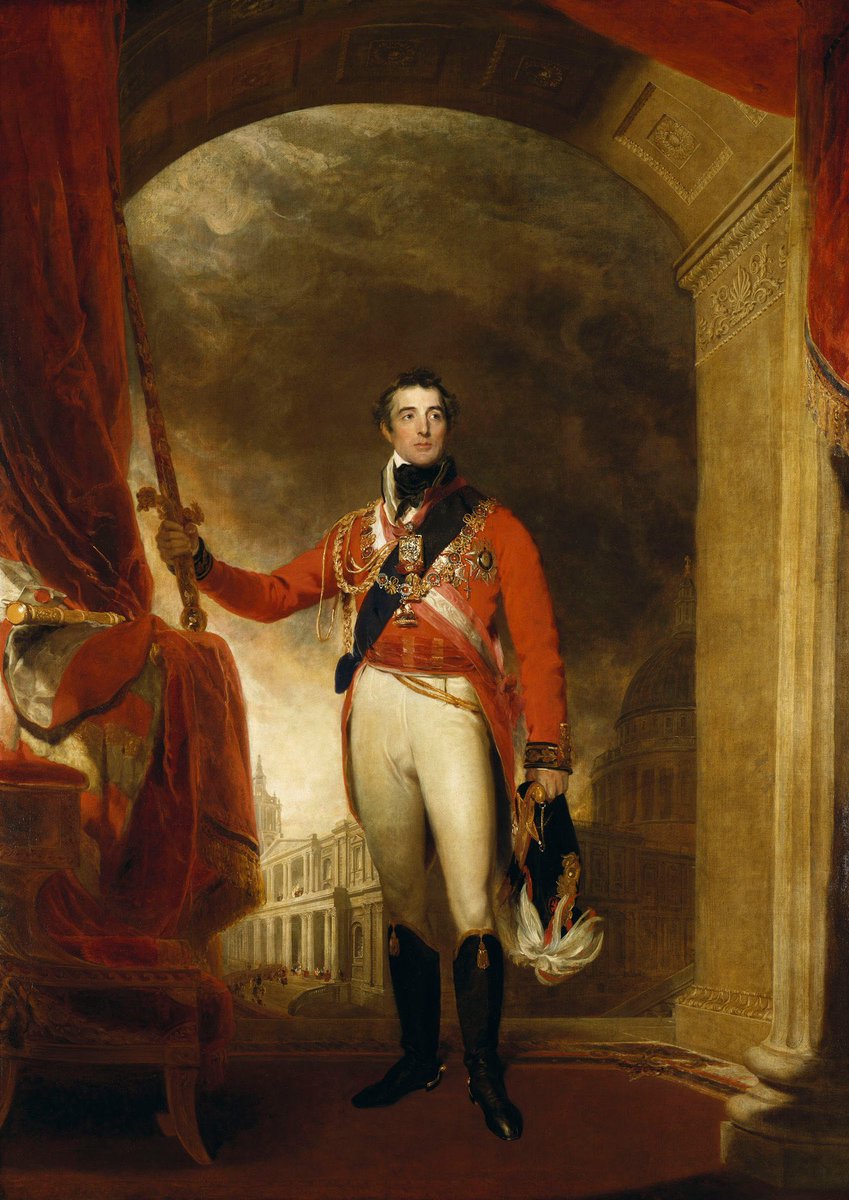 “Reform! Reform! Aren't things bad enough already?”

Arthur Wellesley, 1st Duke of Wellington 

Wellington by Sir Thomas Lawrence

I share Wellington’s feelings about Reform