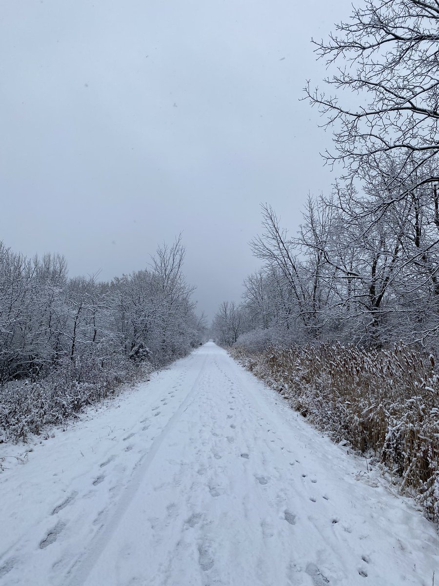 PCorzett's tweet photo. Love a winter walk! @GCorzett https://t.co/xotljIHnmt