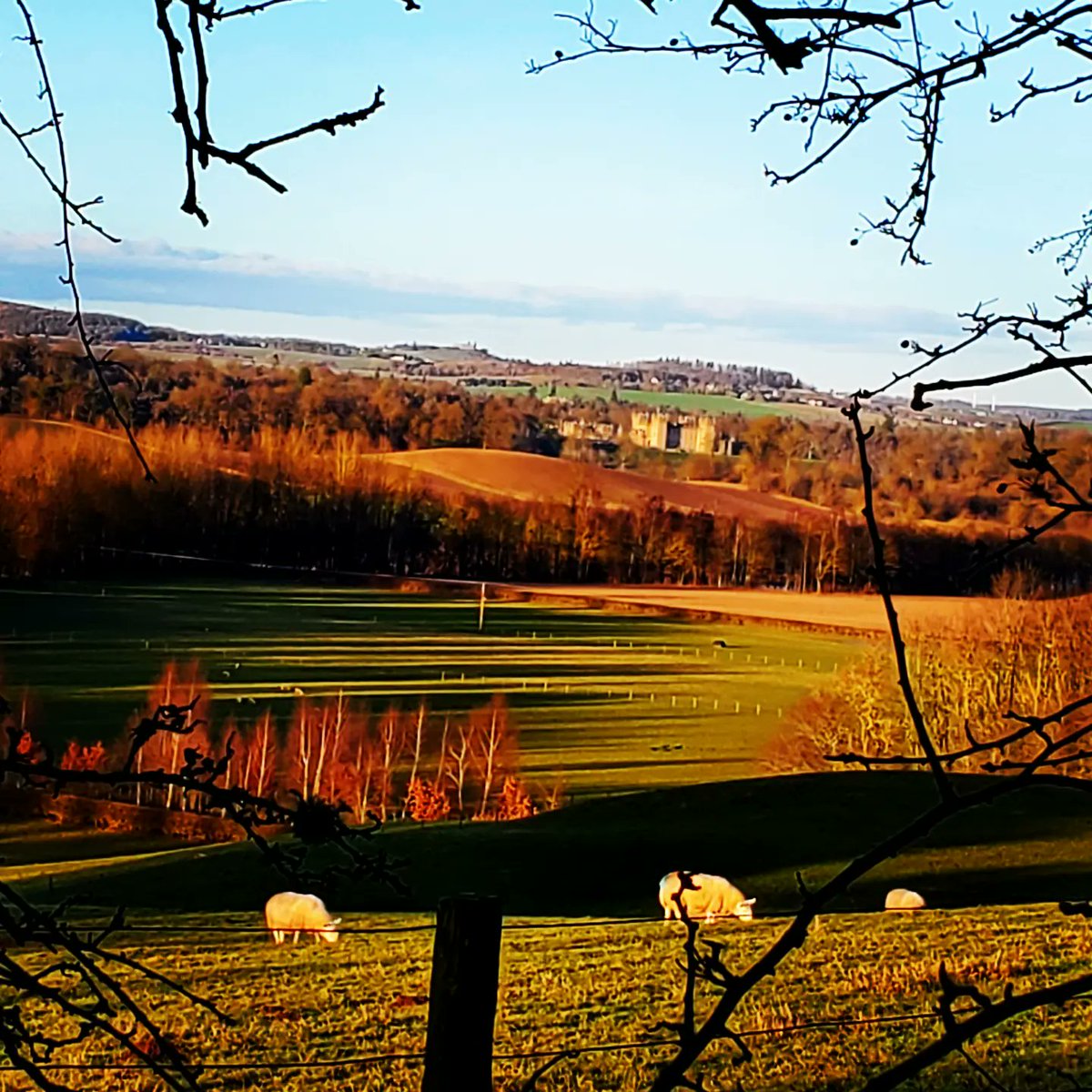 blonde_on_bikes's tweet photo. Beautiful day out on the 7 mile Kelso/Roxburgh circular walk 
#ScottishBorders #RiverTweed #RiverTeviot #BAW #KelsoPaths #Kelso #Roxburgh https://t.co/tNV4yy7CTM