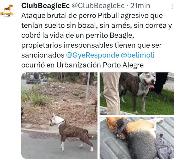 DefensoresAn's tweet photo. #Guayaquil #UrbanizaciónPortoAlegre Mano dura con esta clase de irresponsables, gente incivilizada que a donde quiera que van a vivir, llevan sus malas costumbres. El perro no es responsable, sí el animal humano que lo saca a la maldita sea https://t.co/LZd4VJhpPK