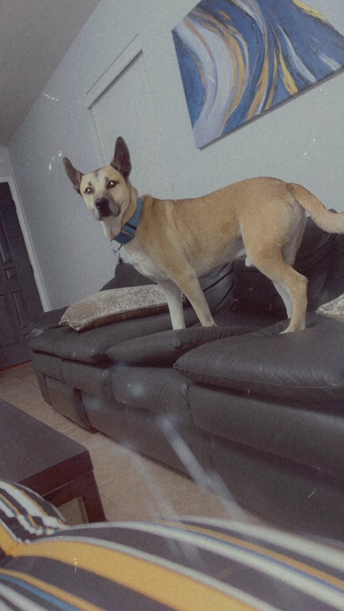 queenbee__d's tweet image. #2k23 &amp;amp; that’s a wrap 🎀