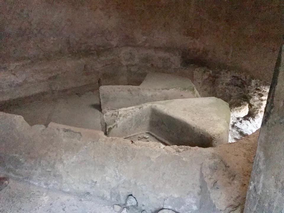 Nora Garibotti tweet media