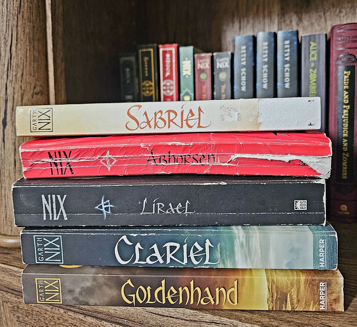 Some are a bit worn from being so old, but one of my absolute favorite #fantasy series by @garthnix 
#readerscommunity #BooksWorthReading #novelseries