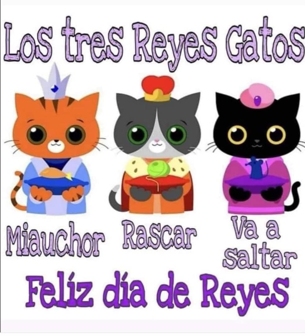 AttacheSC's tweet photo. Feliz Día de Reyes 👑👑👑 https://t.co/tcqzfYyZK2
