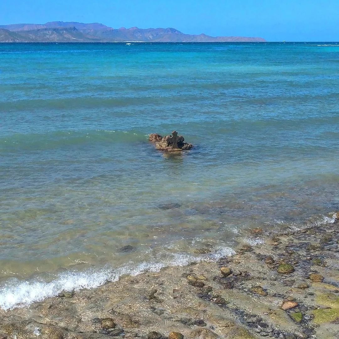 Enjoy Epiphany, also known as the Day of Holy Kings (Día de los Santos Reyes)