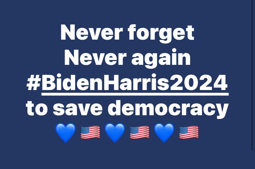 AnnieForTruth's tweet image. #NeverForgetJ6 #VoteBlueForDemocracy