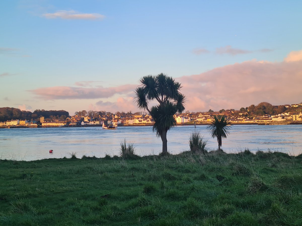 VirtuAli tweet media