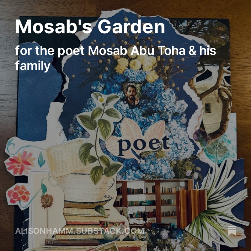 alisoncomposes's tweet photo. for @MosabAbuToha 🤍📚🌱 

https://t.co/r3ieAX53OO https://t.co/7K0H5OeEiw