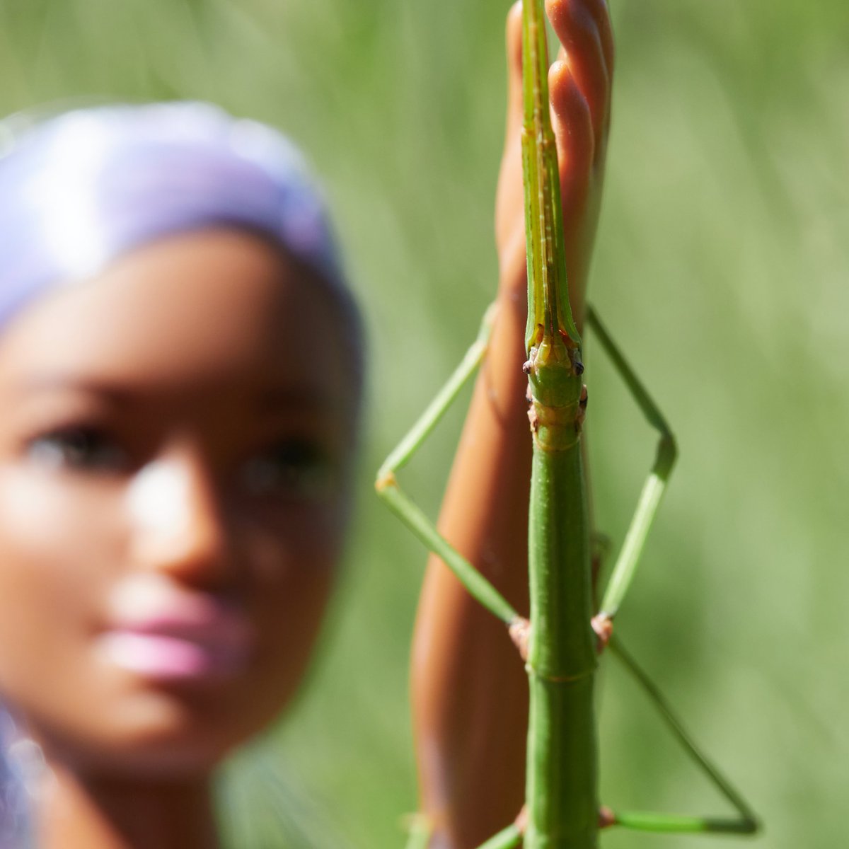 @entobarbie tweet media