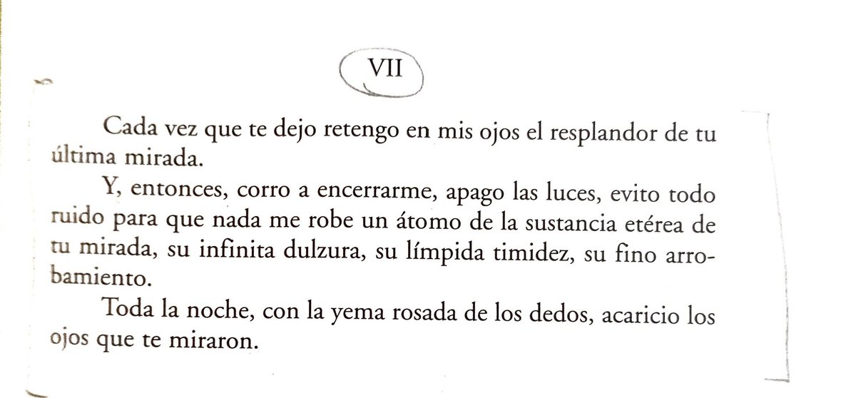 Alfonsina Storni: cómo vas a escribir semejante belleza
