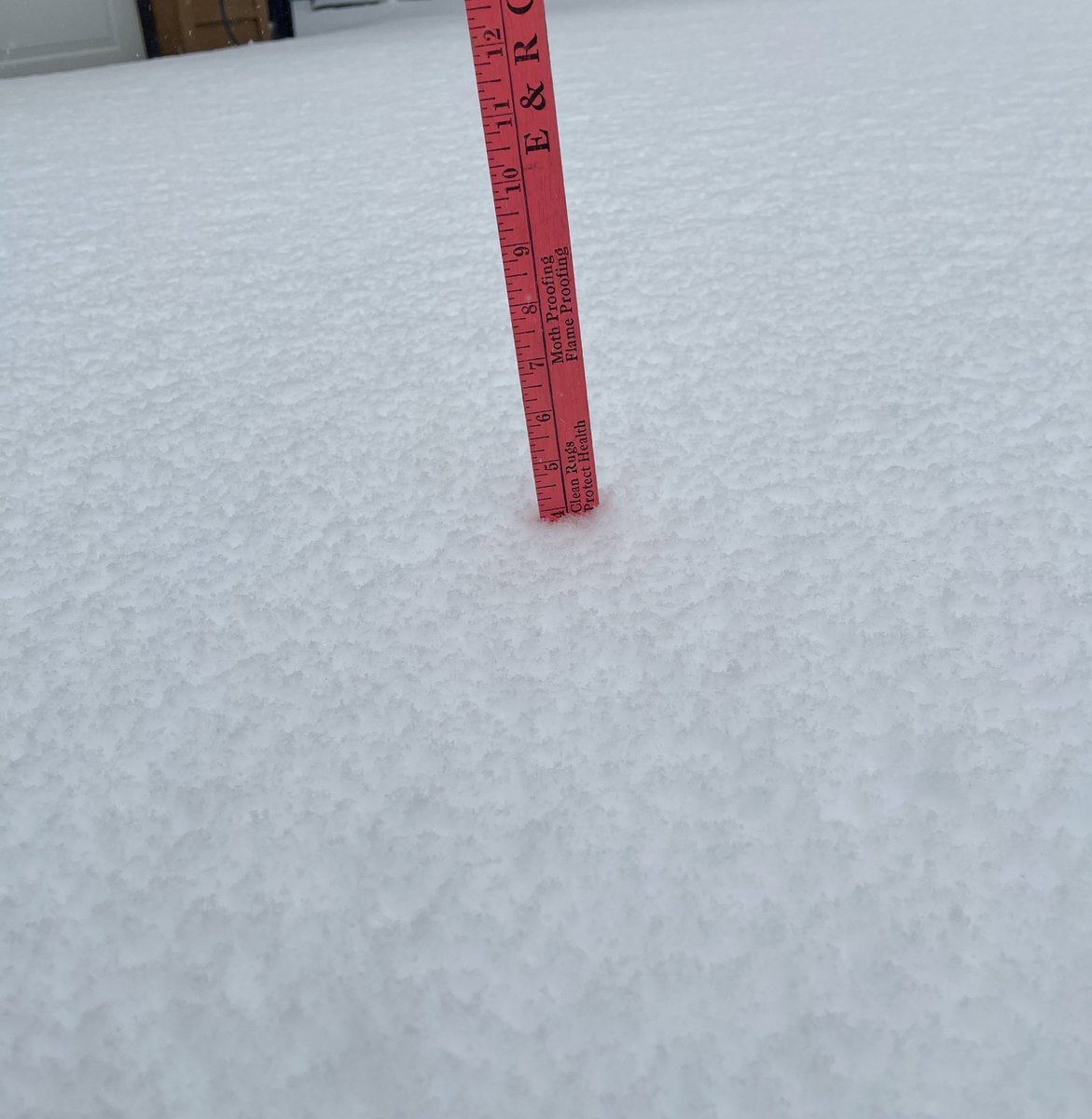 Dogmomma31's tweet photo. @dougkammerer 3:40pm in Back Creek, Hedgesville, WV.  4” on the ground. Now turning from snow to ice. https://t.co/z8XG12vs3V