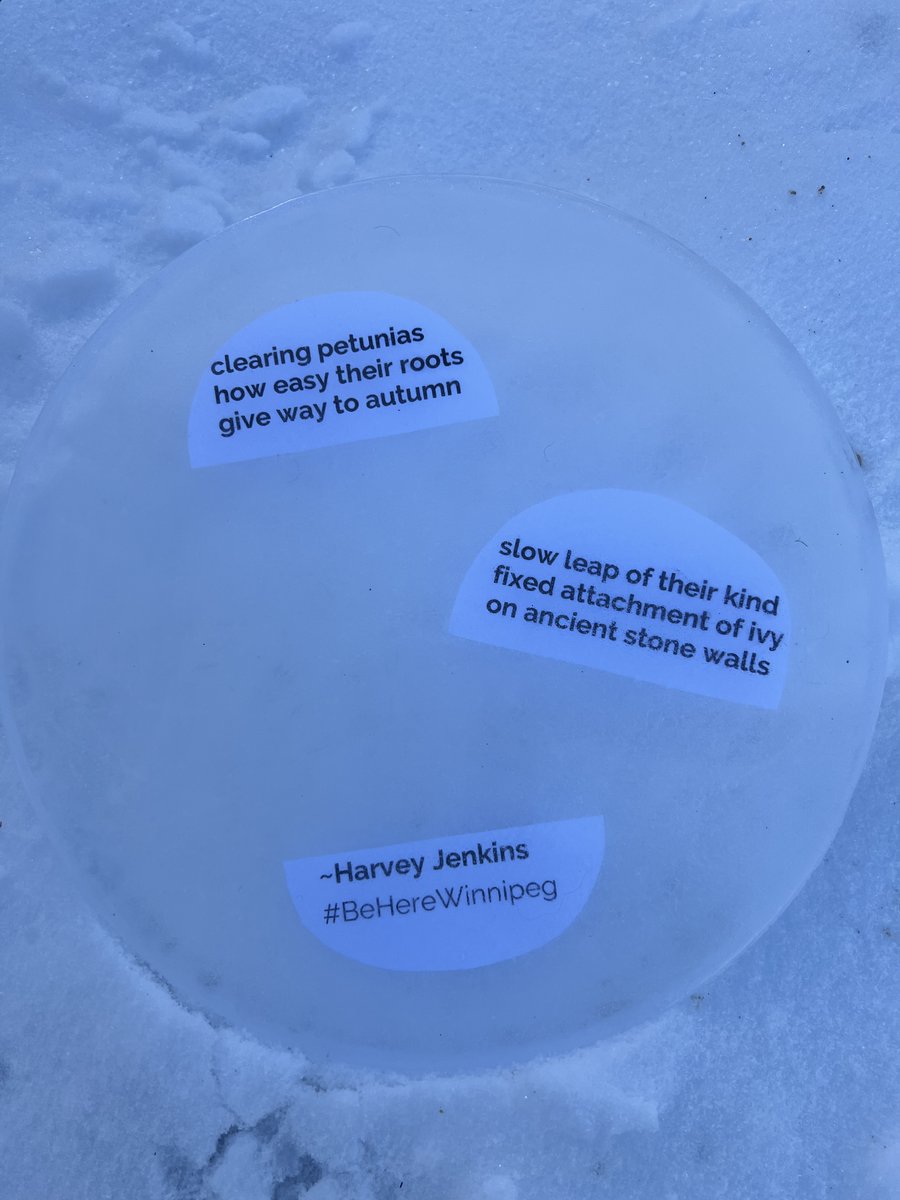 240 Tache tweet media