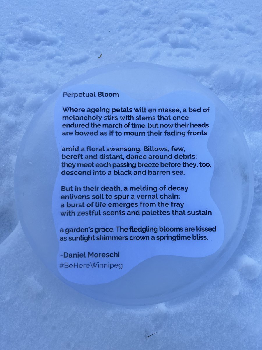 240 Tache tweet media