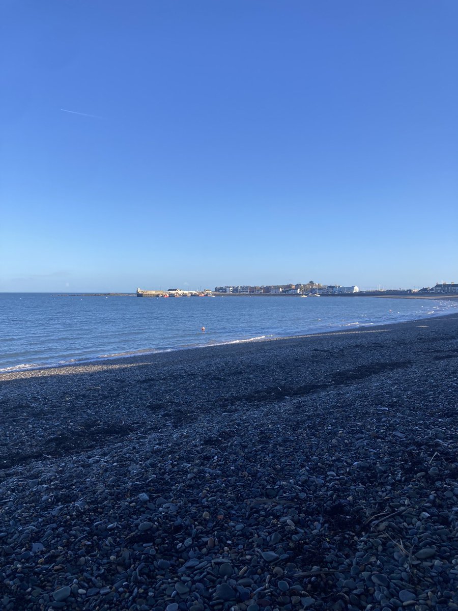 annmdsouza's tweet photo. Two walks today for Nollaig na mBan #100daysofwalking  #botanicgardens https://t.co/gror7MBOPQ