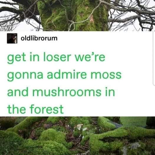ChristyHarkness's tweet photo. @andrewhunterm there was only one person I could think of here... https://t.co/HeuebMMK7m