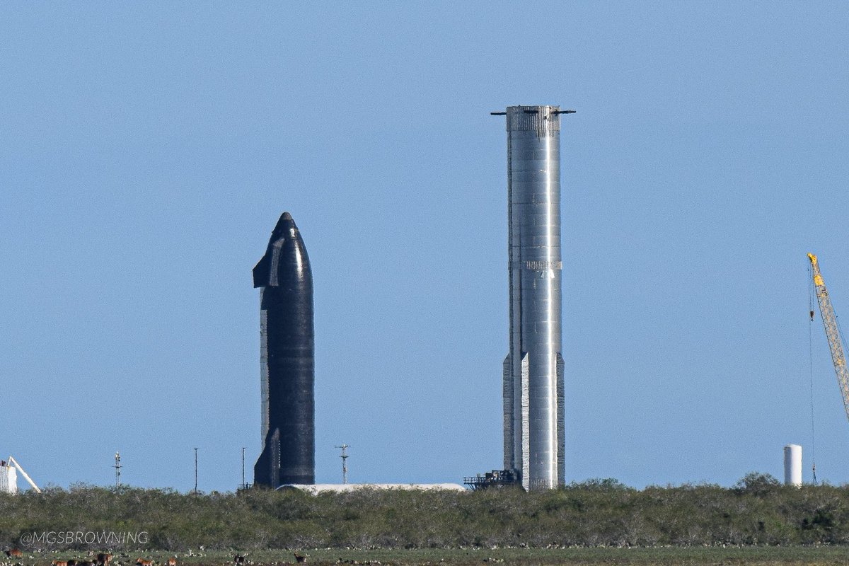 mgsbrowning's tweet photo. S30 and B12 at Massey’s with some Nilgai in the foreground on the second pic.
Jan 5, 2024
#SpaceX #Starbase #Masseys #Ship30 #Booster12 https://t.co/HdlLfcwmwT