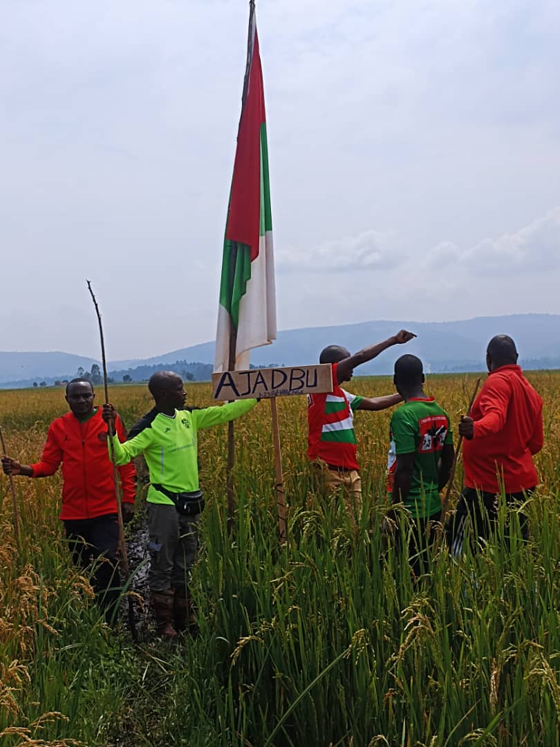 CnddFddButanyer's tweet photo. 6/1/2024 Mu ntumbero yo gukomeza ishirahamwe #AJADEBU rihurikiwemwo n'Imbonerakure, Umunyamabanga ntunganyabisata muri #Butanyerara yifafikanije n'Imbonerakure zo muri #Marangara mu gusoroma Umuceri mu murima wa 1ha1/2 ahitezwe umwimbu ungana na toni 5.
@CnddFdd
@R_Ndikuriyo https://t.co/kA7QLFo3Ng