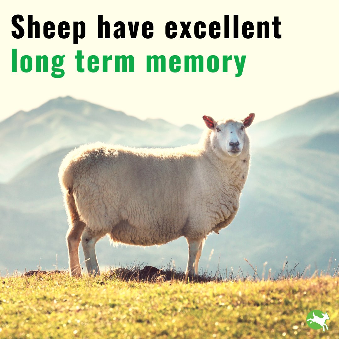 Compassion in World Farming UK tweet media