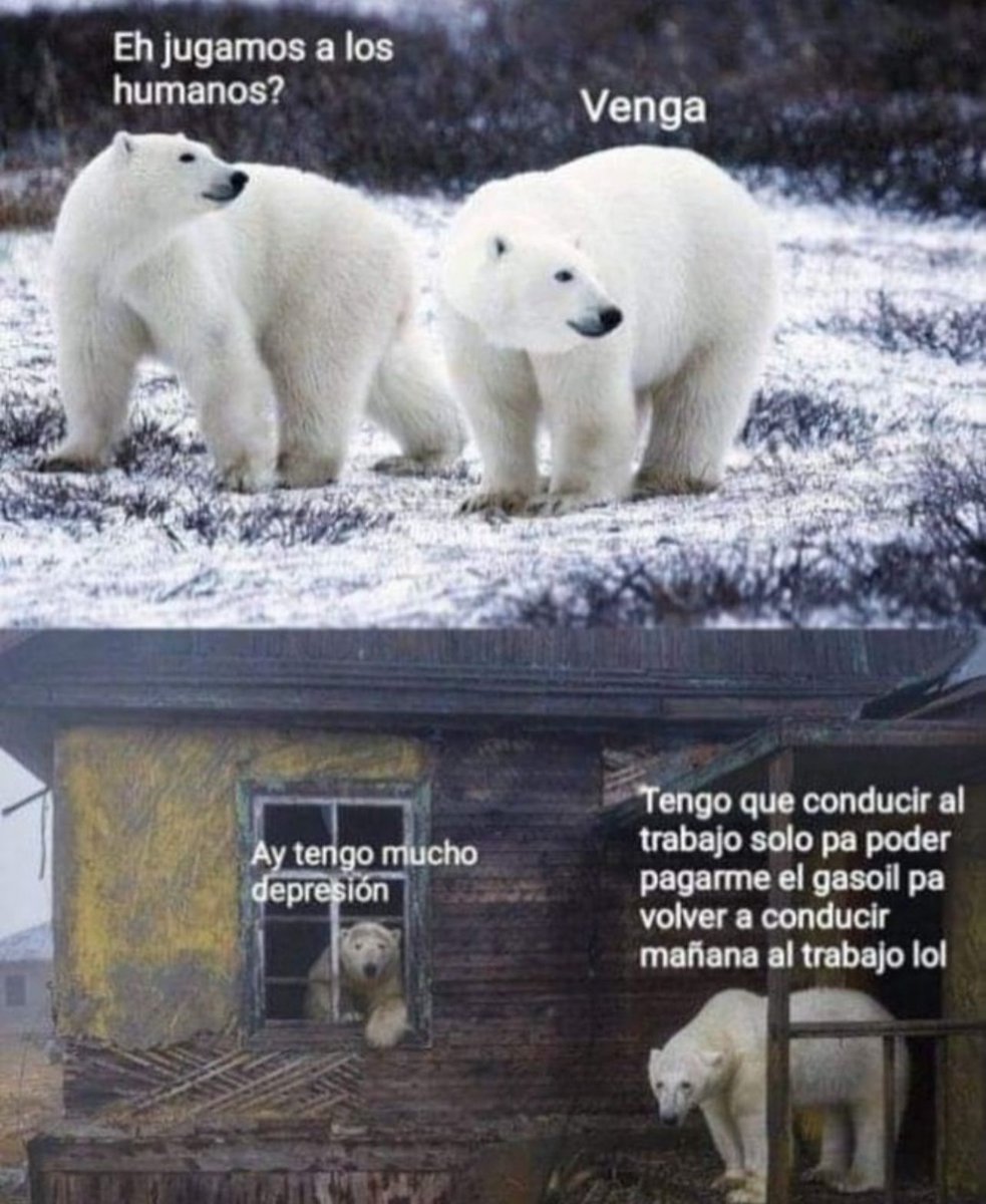 urovoros's tweet photo. #SábadoSad https://t.co/8eQtUxeaZu