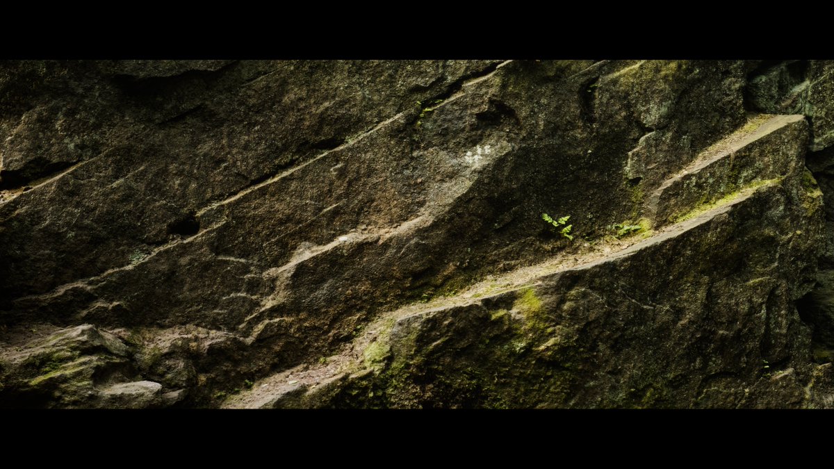 DANH3D's tweet photo. Currently sorting through my backlog of old photogrammetry captured over the last couple of years.
This is all raw data inside @UnrealEngine 
It would be nice to create something from these eventually :) https://t.co/Dt0w6yJVsZ