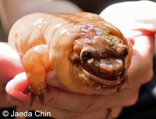 Emily Taylor tweet media