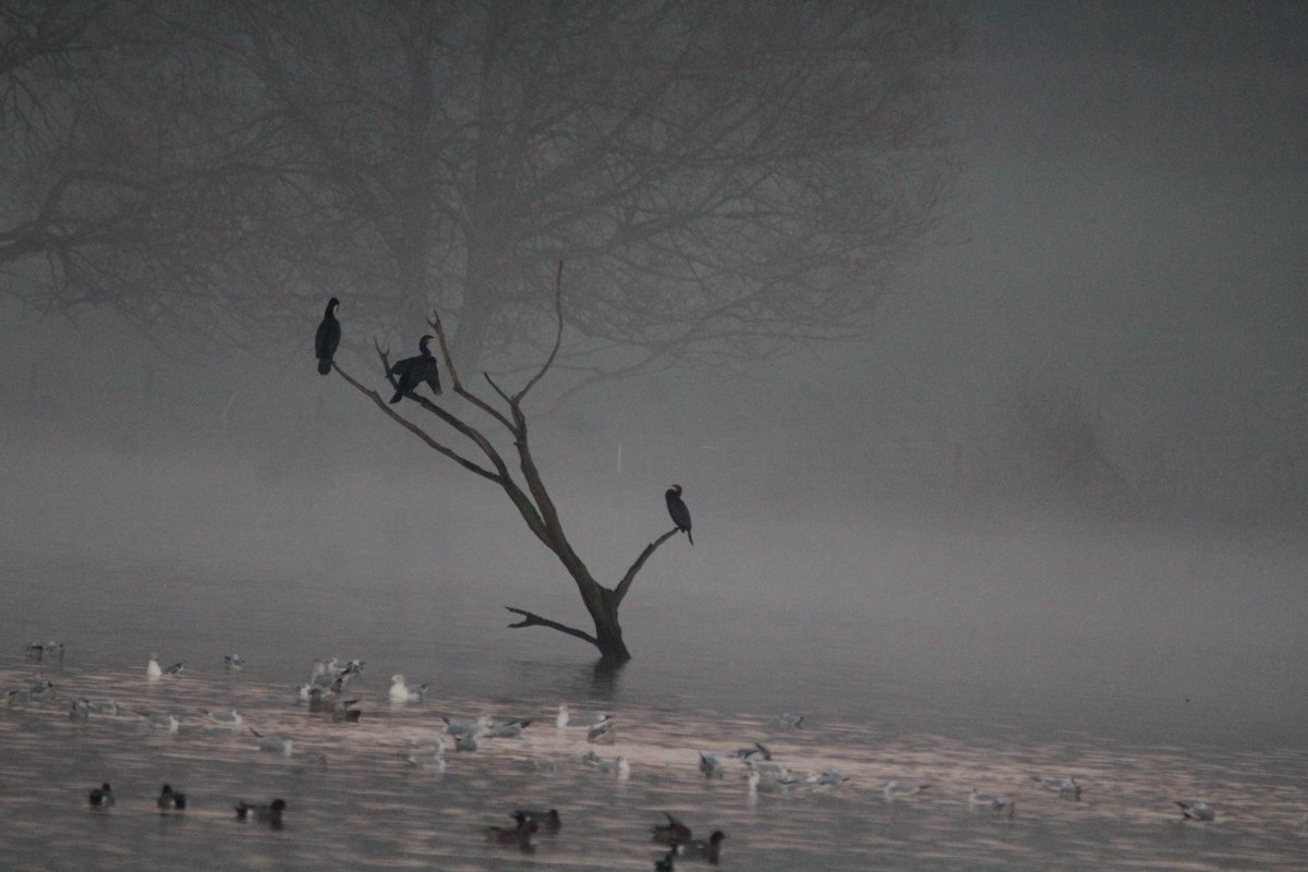 Beautiful sunset over Sandbach Flashes 🌅📷