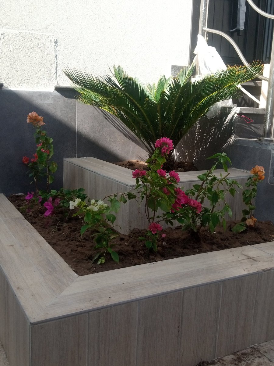 مشتل Bella Rose (@bella_rose30092) on Twitter photo 