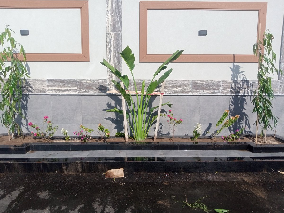 مشتل Bella Rose (@bella_rose30092) on Twitter photo 