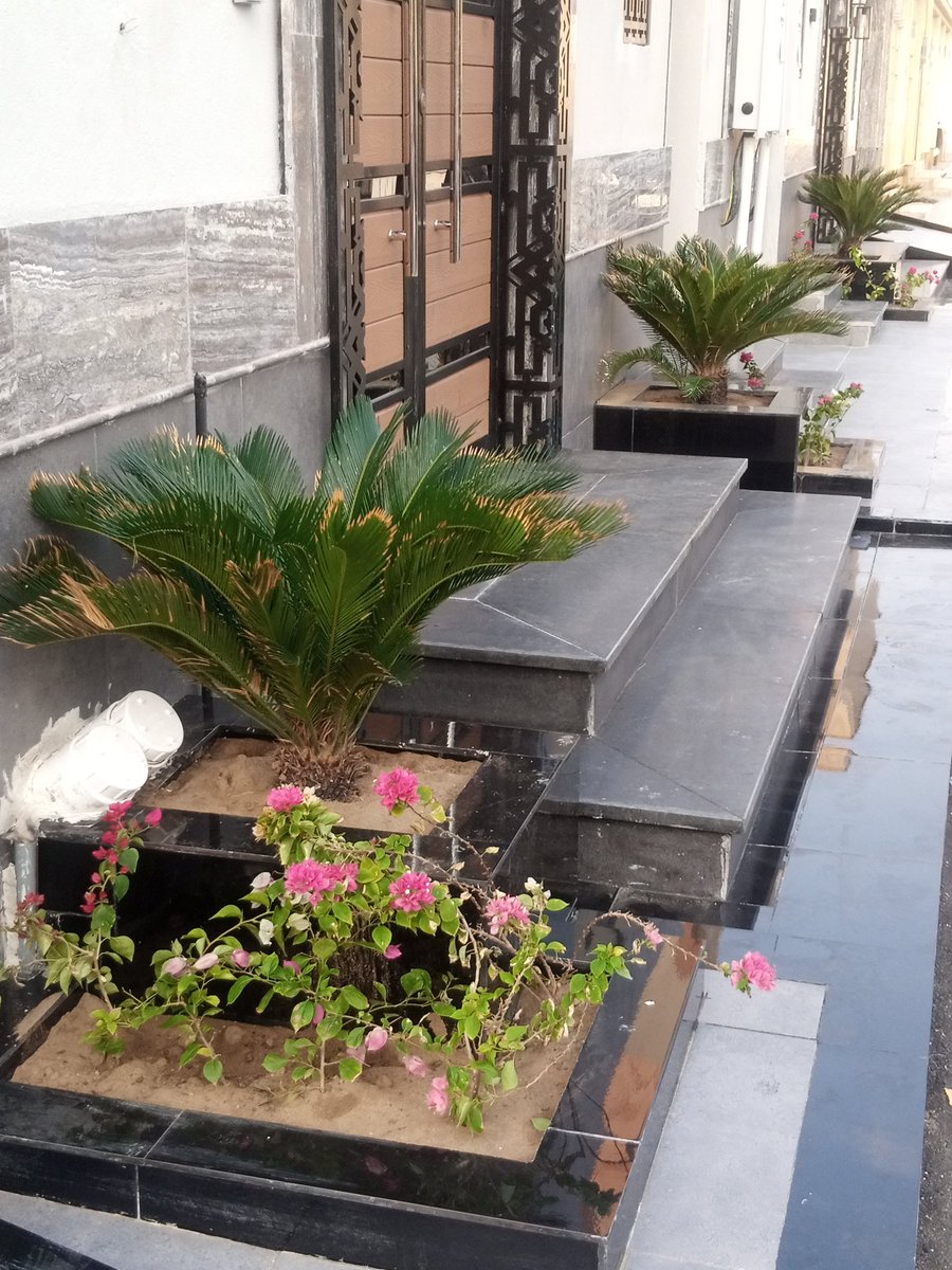 مشتل Bella Rose (@bella_rose30092) on Twitter photo 