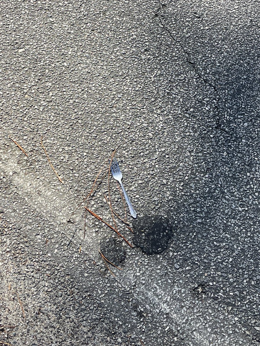 I found a fork in the road.