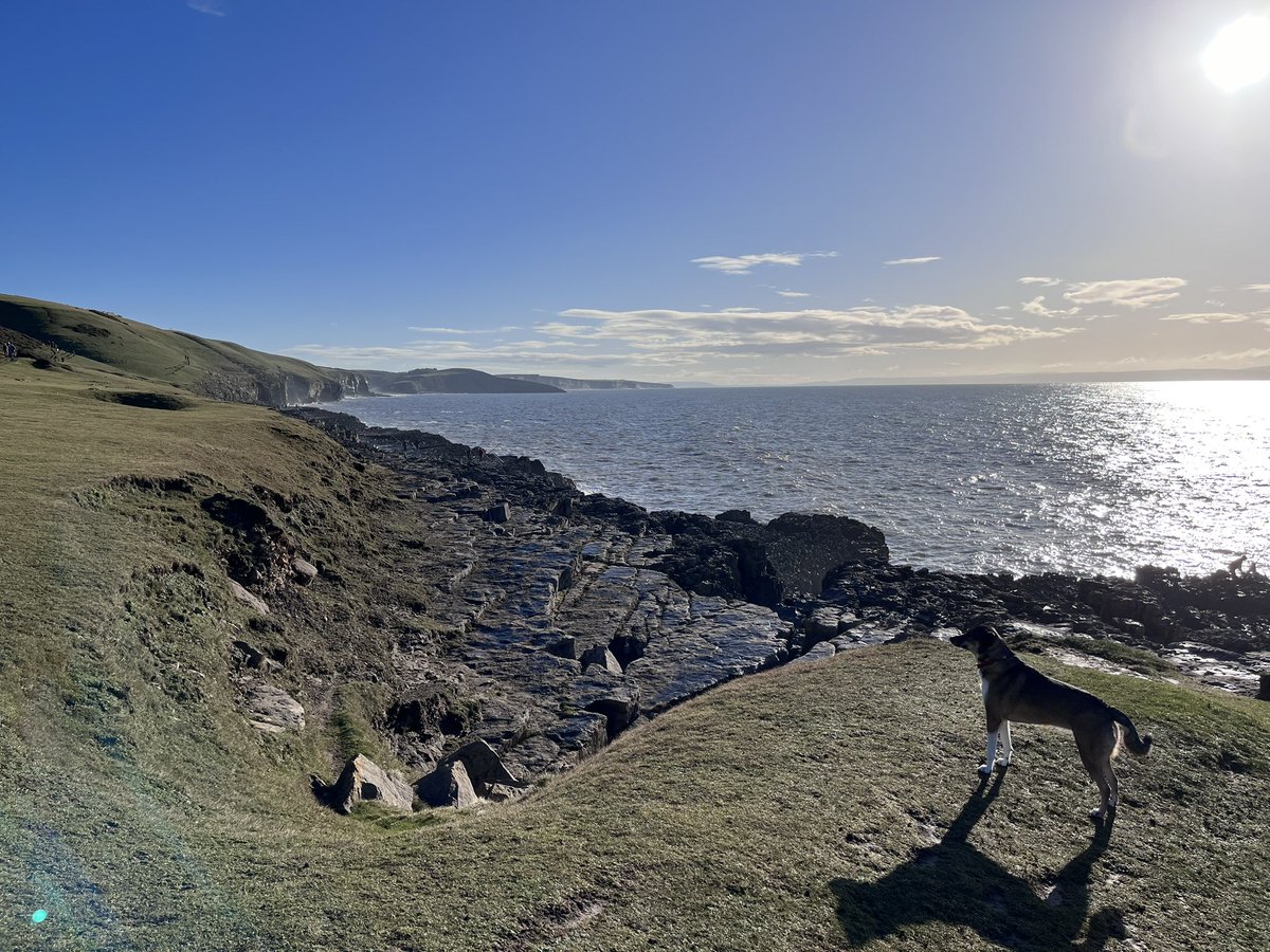 daibennett's tweet image. Down “The Deeps” with the dog and then a Lime and Soda at the boozer. 
Stupid #DryJanuary