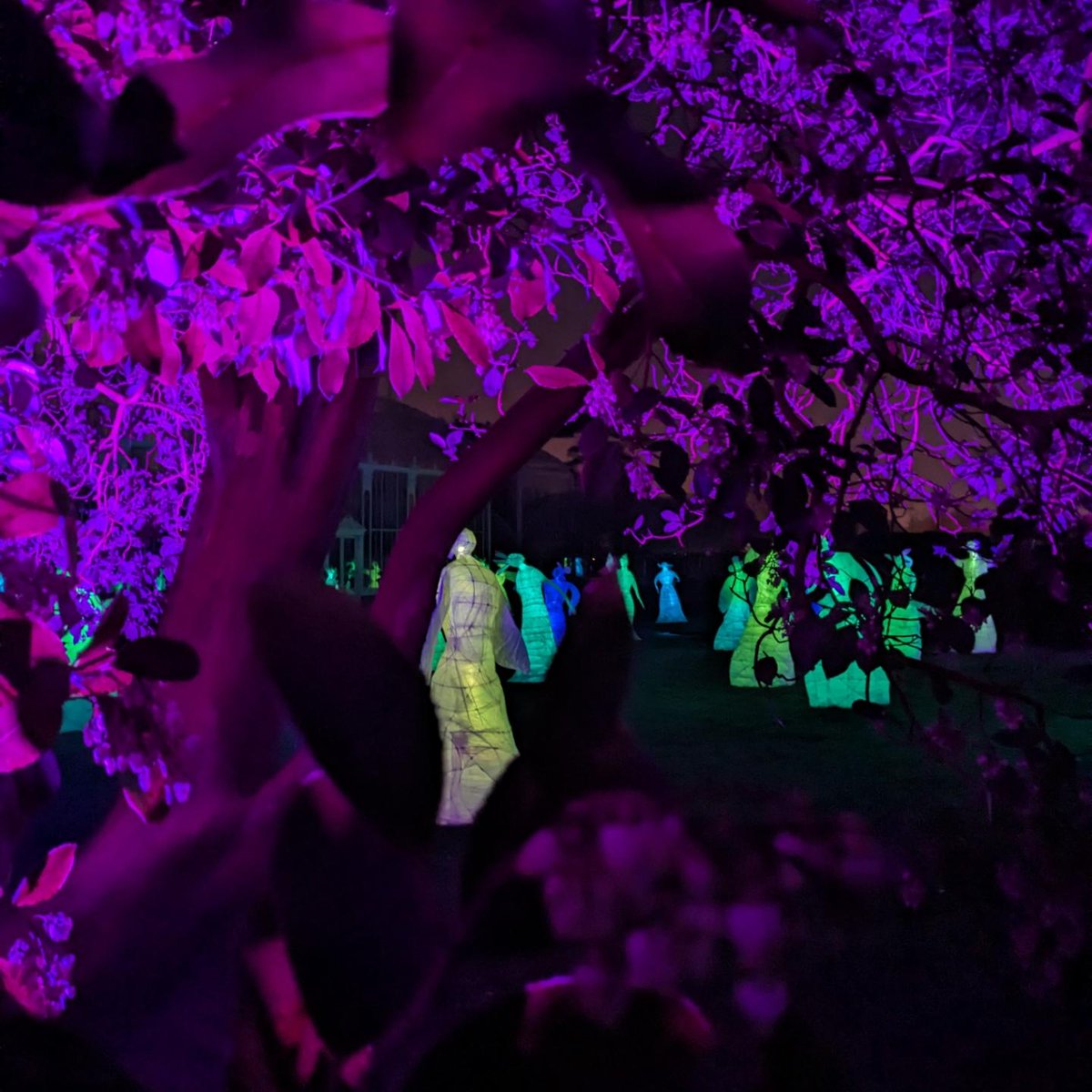 ISACSIreland's tweet photo. Stunning work by #ISACSmember Tom Meskell at the National Botanic Gardens for @firstfortnight 💙
#silvalumina #firstfortnight #artsireland #streetartireland #ISACS https://t.co/nNMJWdKoiU