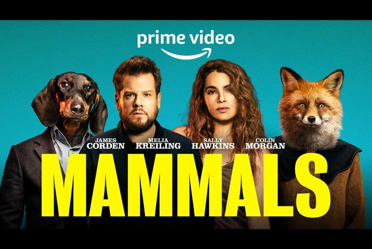 Son zamanların en iyi dizilerinden biri.  
Fakat ya çok seversiniz ya da IMDB'deki 5,9'culardan olursunuz, arası yok gibi.

Alttaki dörtlüye de iliştireyim tam olsun.
#Mammals 
#JezButterworth