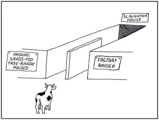 HypathieBlog's tweet photo. La mort est au bout de leur courte vie, bio ou non, c'est pareil !
#stopelevage
#stopAnimalExploitation
#stopAnimalTorture
#stopbreeding https://t.co/HqEETRbhdV