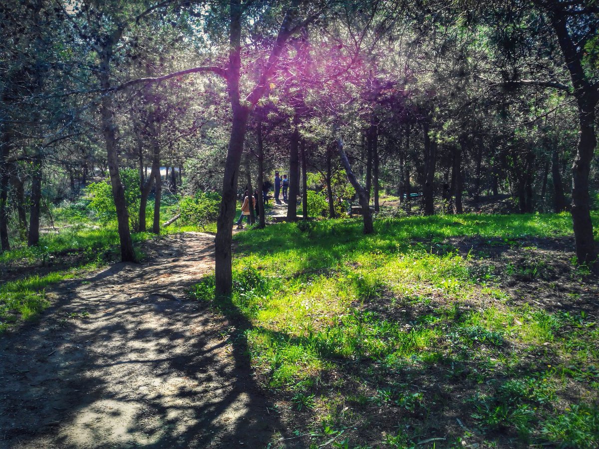 GDA_SidiAmor's tweet photo. 10 Novembre 2023 : Lancement du projet de restauration de l'écosystème naturel Nahli-Sidi Amor🌿 Cet atelier de réflexion et concertation marque le début d'un projet participatif, encadré par l'ANPE. #RestaurationÉcologique https://t.co/7KzrSLmFgj