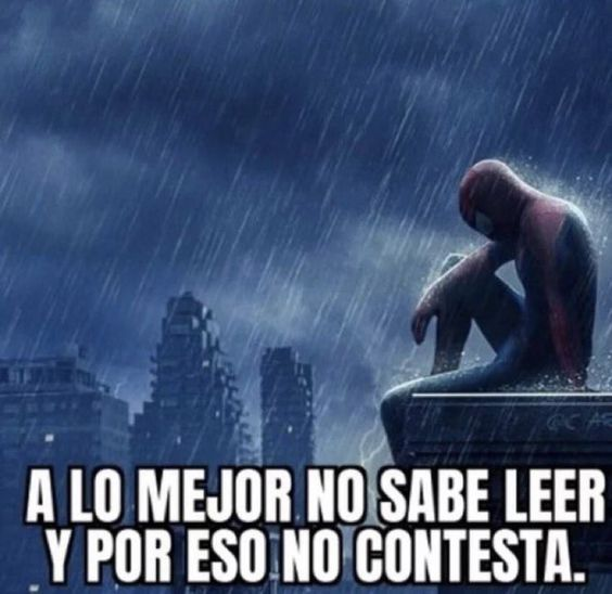 irene (@irenecerezog) on Twitter photo 