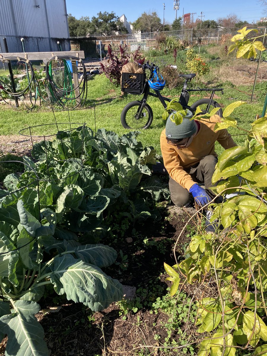 Jerry Maeda tweet media