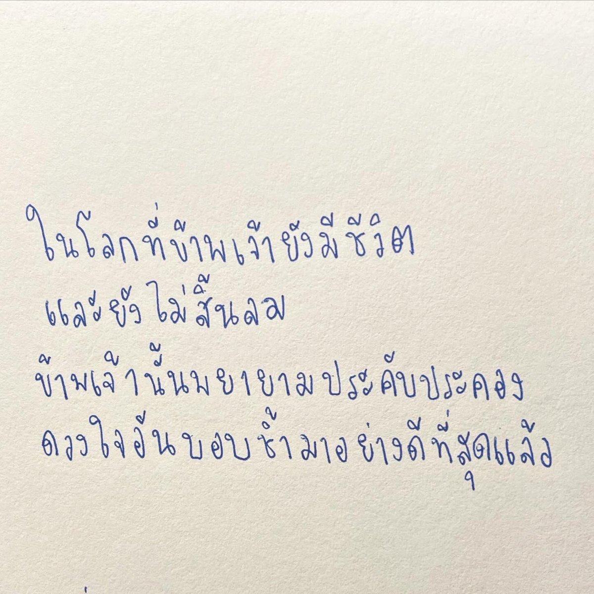 norr (@9lucine) on Twitter photo 